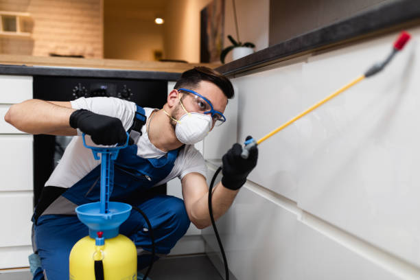 Best Emergency Pest Control  in Auburn, KY
