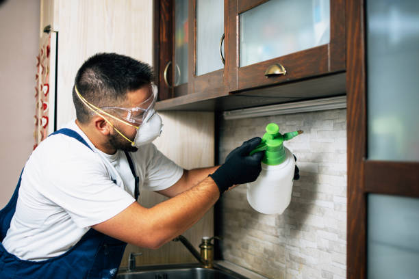 Best Insect Control  in Auburn, KY