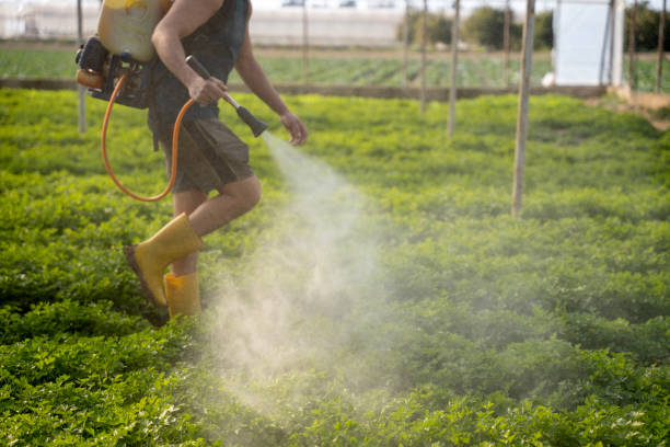 Best Pest Prevention Services  in Auburn, KY
