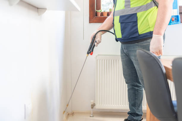 Best Rat Extermination Near Me  in Auburn, KY
