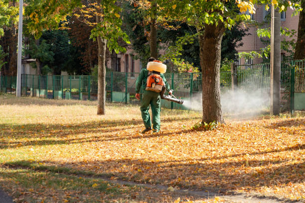 Best Best Pest Control Companies  in Auburn, KY