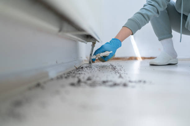 Best Pest Removal Services  in Auburn, KY